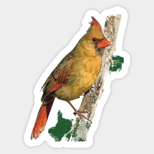 Female Northern Cardinal or Redbird Sticker